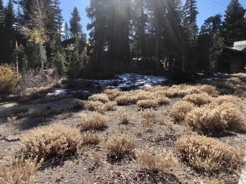 41 Convict Pl, Mammoth Lakes, CA 93546 photo 4