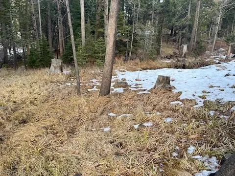 799 Minaret Rd, June Lake, CA 93529