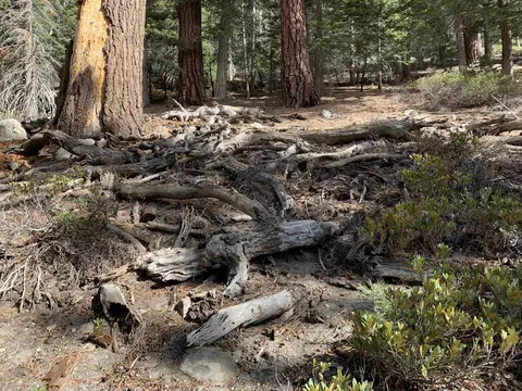 190 Grindelwald Rd, Mammoth Lakes, CA 93546