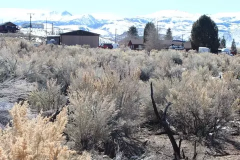 lot53 Highway 395 Mt Patterson, Bridgeport, CA 93517