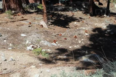 638 Piute Dr, June Lake, CA 93529