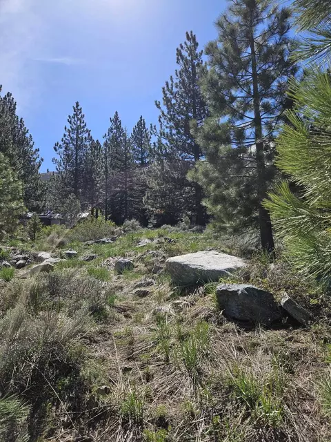 265 Westwood Dr, Bridgeport, CA 93517