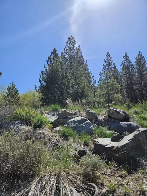 235 Westwood Dr, Bridgeport, CA 93517