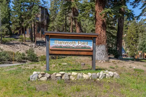 94 John Muir Rd #132, Mammoth Lakes, CA 93546