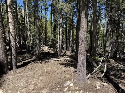 lot22 23 Lodge Pole Dr, Bridgeport, CA 93514