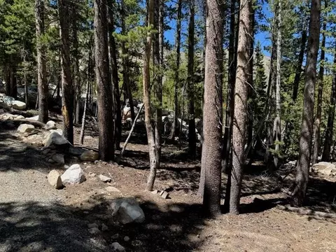 00 Lodgepole Dr, Bridgeport, CA 93514