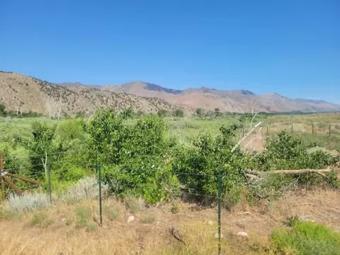 02 North Riv, Coleville, CA 96107 photo 2