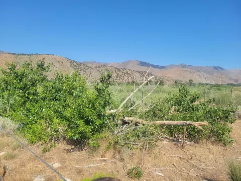02 North Riv, Coleville, CA 96107 photo 3