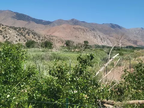 02 North Riv, Coleville, CA 96107