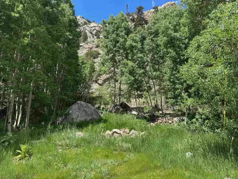Unassigned Carson Street, June Lake, CA 93529