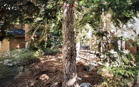 211 Tamarack Ln, Mammoth Lakes, CA 93546