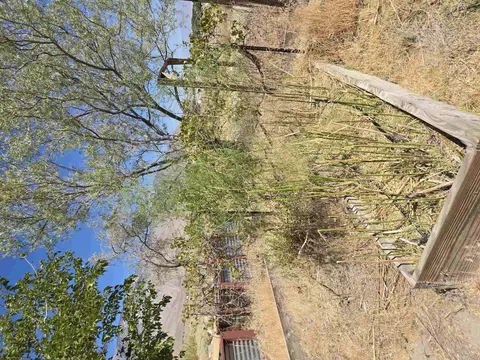 Exterior - 990 Williams, Olancha, CA 93549 photo 6 of 8