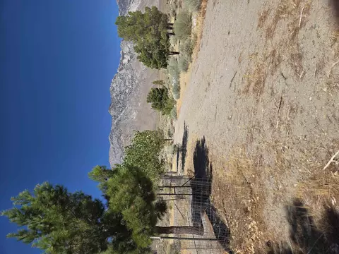 Exterior - 990 Williams, Olancha, CA 93549 photo 4 of 8