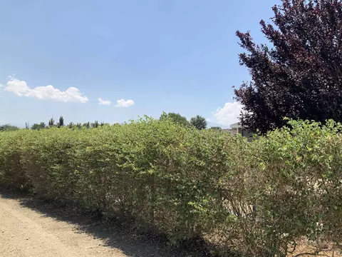 Exterior - 191 Chase Ave, Bishop, CA 93514 photo 8 of 11