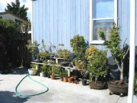 2292 Darby, Bishop, CA 93514 photo 5
