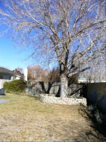 1572 Rocking W, Bishop, CA 93514 photo 1