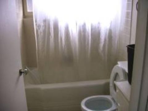 230 Mesquite, Bishop, CA 93514 photo 5