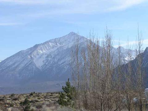 836 Rimrock Dr, Bishop, CA 93514 photo 7