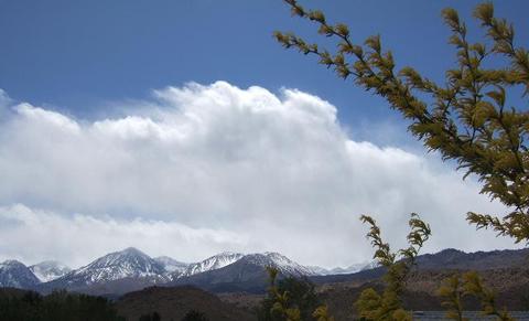99 Myrtle, Big Pine, CA 93513 photo 8