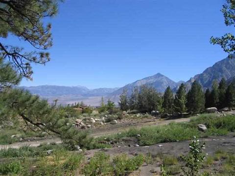 99 Willow, Swall Meadows, CA 93514 photo 3