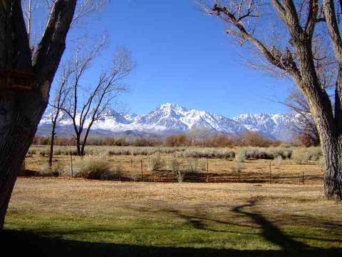 787 Rome Dr, Bishop, CA 93514 photo 11