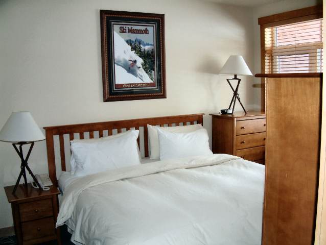  201 Juniper Springs Dr Apt 130 #130, Mammoth Lakes, CA 93546 photo 4