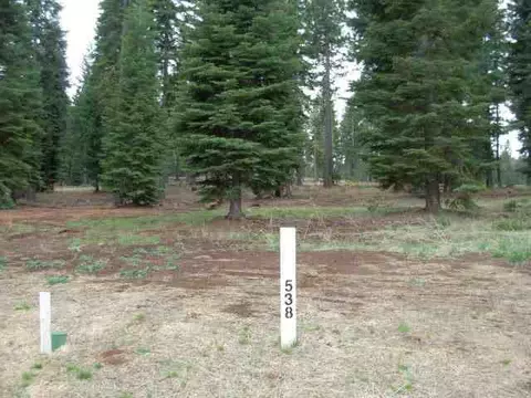58 Winterwood Dr, Lake Almanor, CA 96137