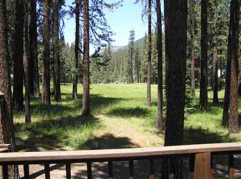 203 Sugar Pine Dr, Blairsden, CA 96103 photo 3