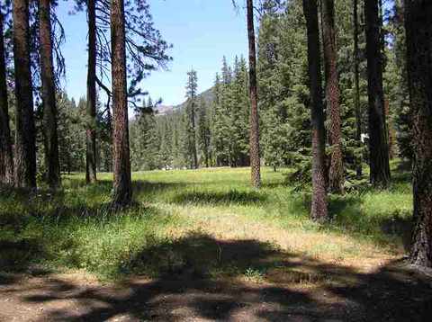 203 Sugar Pine Dr, Blairsden, CA 96103 photo 4