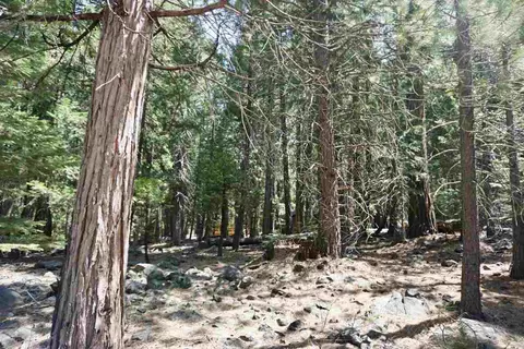 59 Yonkalla Trl, Graeagle, CA 96103 photo 6