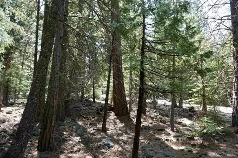 59 Yonkalla Trl, Graeagle, CA 96103 photo 8