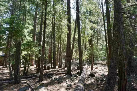 59 Yonkalla Trl, Graeagle, CA 96103 photo 7