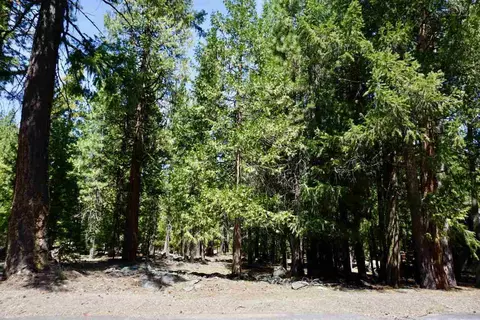 59 Yonkalla Trl, Graeagle, CA 96103 photo 16