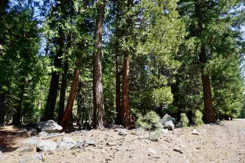 59 Yonkalla Trl, Graeagle, CA 96103 photo 2