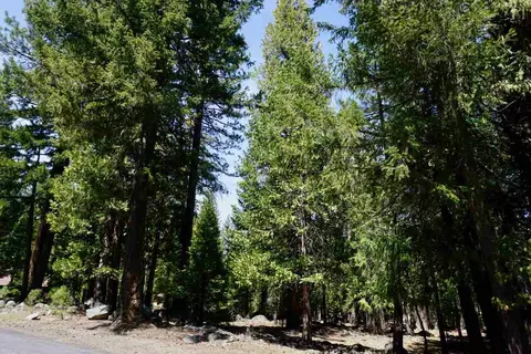 59 Yonkalla Trl, Graeagle, CA 96103 photo 14