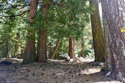 59 Yonkalla Trl, Graeagle, CA 96103 photo 4