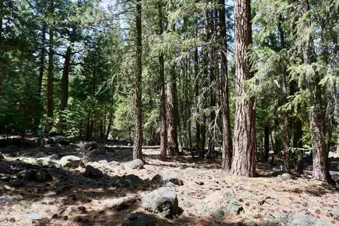 59 Yonkalla Trl, Graeagle, CA 96103 photo 11