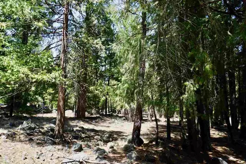 59 Yonkalla Trl, Graeagle, CA 96103 photo 13