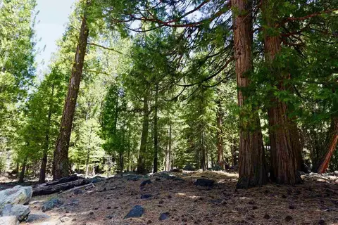 59 Yonkalla Trl, Graeagle, CA 96103 photo 3