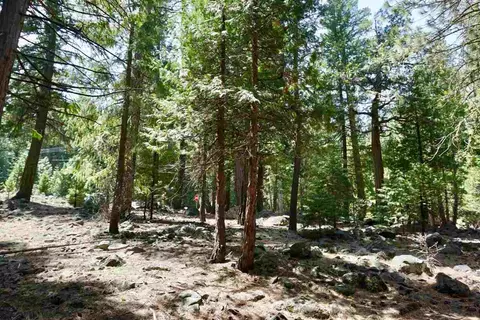 59 Yonkalla Trl, Graeagle, CA 96103 photo 10
