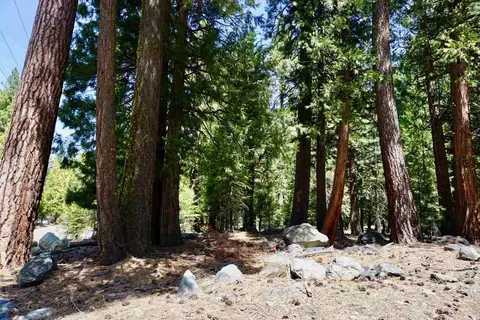 59 Yonkalla Trl, Graeagle, CA 96103