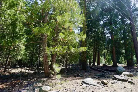 59 Yonkalla Trl, Graeagle, CA 96103 photo 5