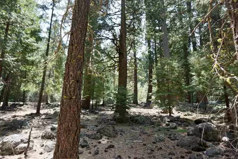 59 Yonkalla Trl, Graeagle, CA 96103 photo 9