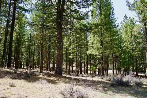77 Cody Dr, Clio, CA 96106 photo 2