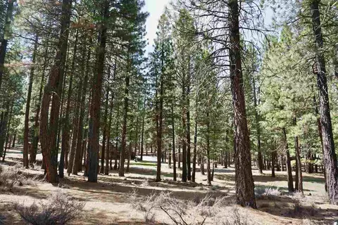 77 Cody Dr, Clio, CA 96106 photo 19