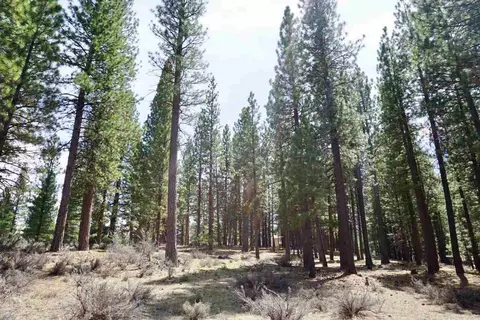 77 Cody Dr, Clio, CA 96106 photo 15