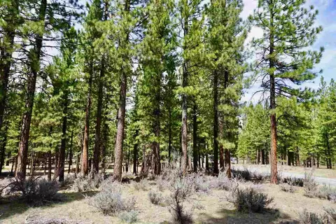 77 Cody Dr, Clio, CA 96106 photo 4