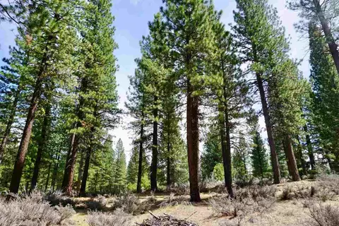 77 Cody Dr, Clio, CA 96106 photo 14
