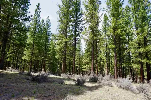 77 Cody Dr, Clio, CA 96106