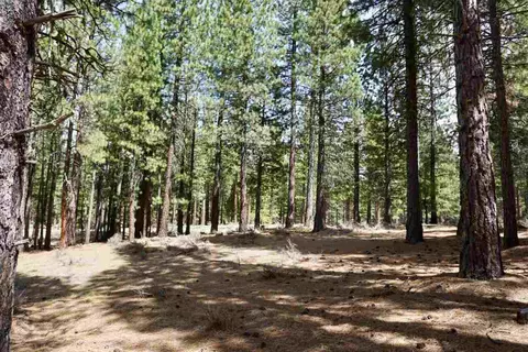 77 Cody Dr, Clio, CA 96106 photo 16